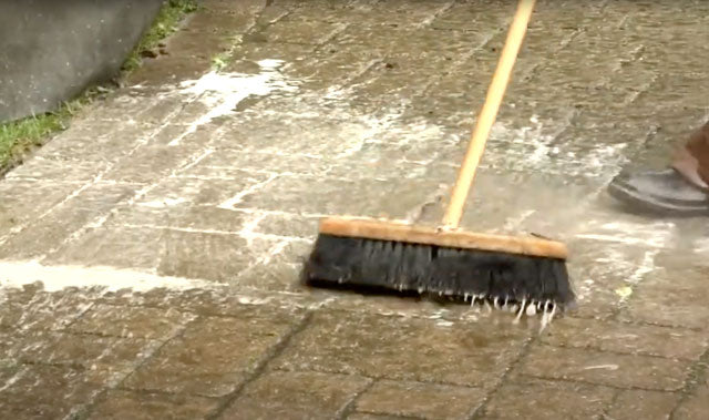 Gator Clean Shampoo cleaner for concrete pavers, patios, and natural stone, prepare the surface