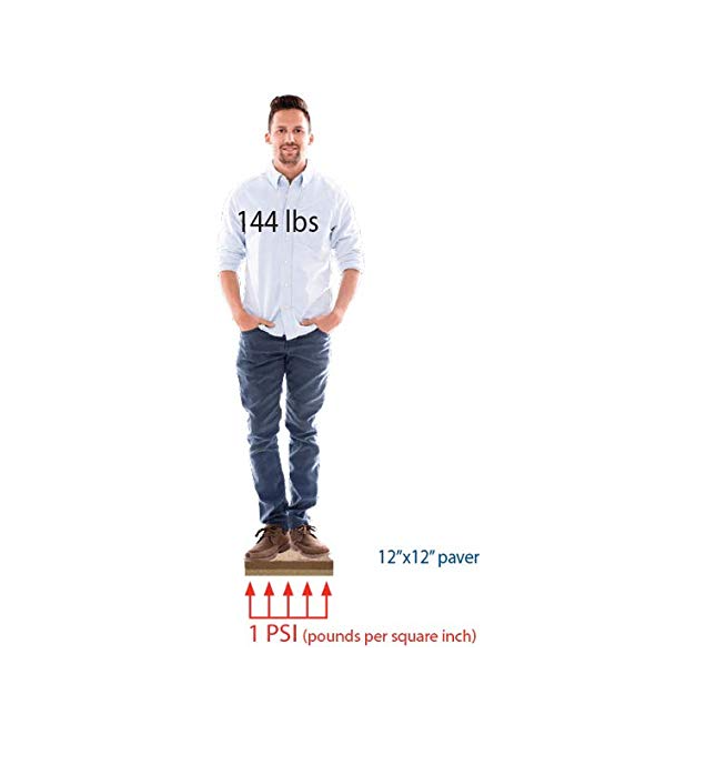 Alliance Gator Base for Concrete PAVERS, Porcelain Tiles and Natural Stones