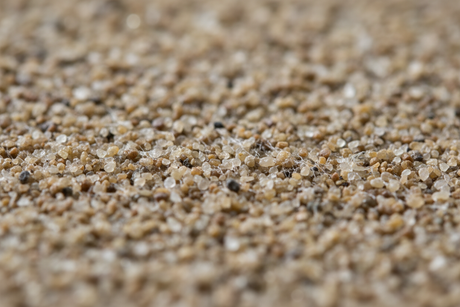 Will Polymeric Sand Harden? How Firm It Gets and How Fast