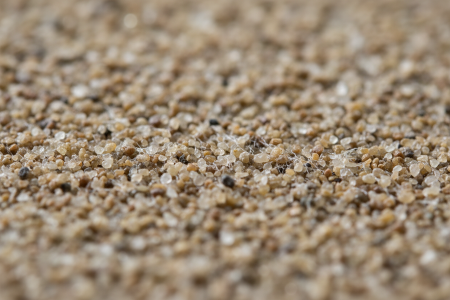 Will Polymeric Sand Harden? How Firm It Gets and How Fast