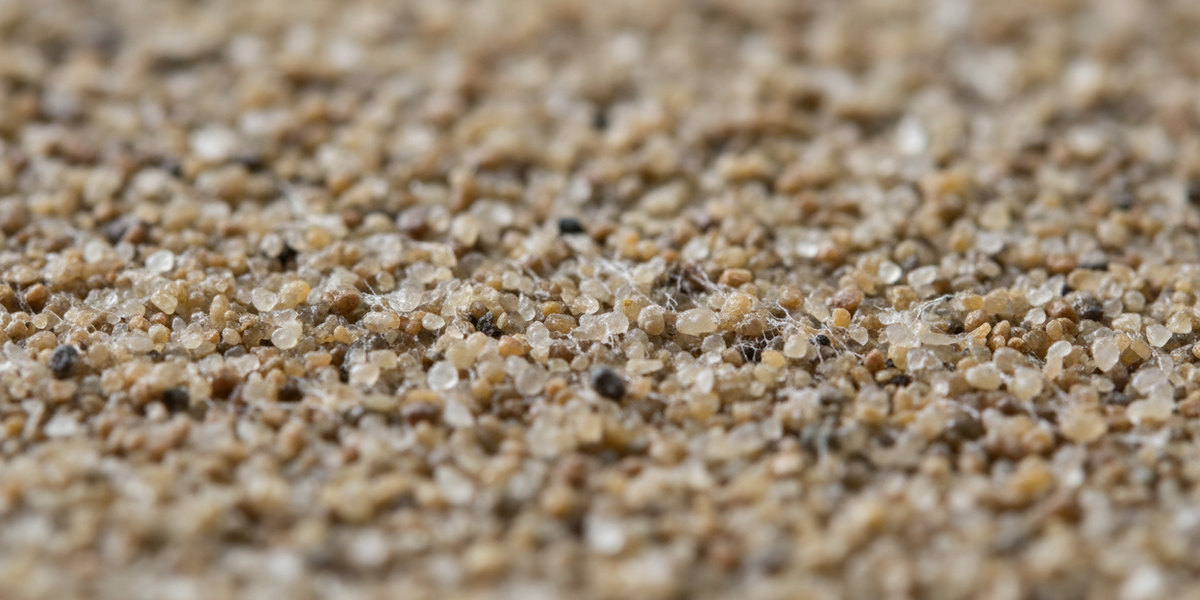 Polymorphic Sand Will Polymeric Sand Harden? What You Need to Know Before Using It ...