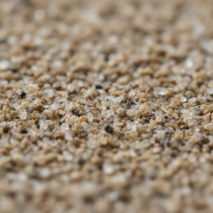 Will Polymeric Sand Harden? What You Need to Know Before Using It