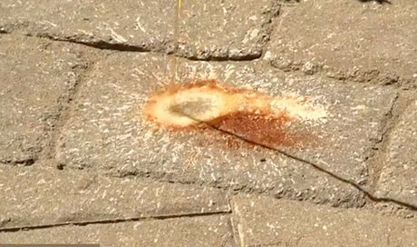 Alliance Gator Clean Rust Remover, fast acting rust stain cleaner for concrete pavers, wet cast, and natural stone.