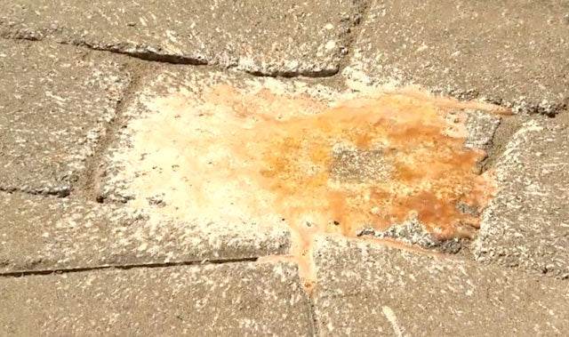 Alliance Gator Clean Rust Remover, fast acting rust stain cleaner for concrete pavers, wet cast, and natural stone.