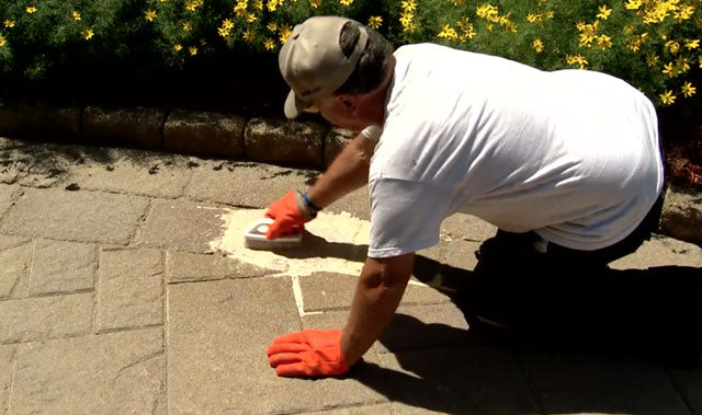 Alliance Gator Clean Rust Remover, fast acting rust stain cleaner for concrete pavers, wet cast, and natural stone.