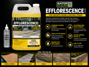 Alliance Gator Efflorescence Cleaner Sample