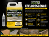 Alliance Gator Efflorescence Cleaner Sample