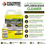 Alliance Gator Efflorescence Cleaner Sample, 8 oz