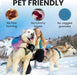 Pet friendly ice melt ad showing no paw burning, no tummy issues, no jagged granules