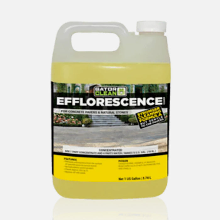 Alliance Gator Clean Efflorescence Cleaner for Pavers & Natural Stone 1 Gallon