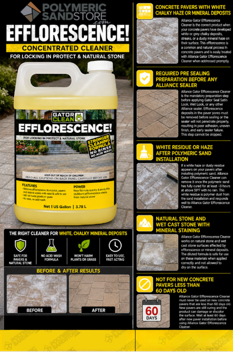 Alliance Gator Clean Efflorescence Cleaner infographic showing haze removal, paver prep, no acid wash formula benefits.