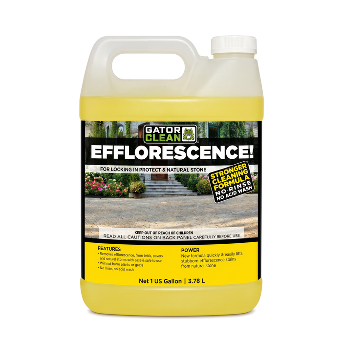 Alliance Gator Clean Efflorescence Remover, 1 gallon no rinse no acid wash cleaner for pavers, brick, and natural stone.