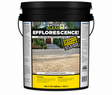Alliance Gator Clean Efflorescence Remover, 5 gallon no rinse no acid wash cleaner for pavers, brick, and natural stone.